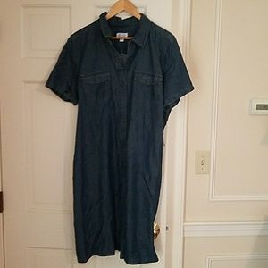 Jean shirt dress